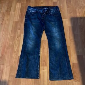Hudson Jeans low rise Blue Flare & Wide Leg Denim